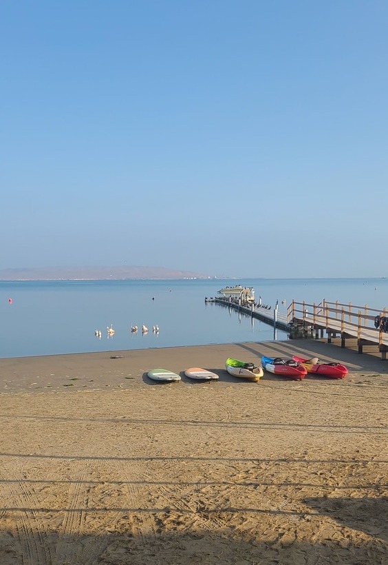 Rent a Paddle board or Kayak early morning when the bay is calm and peaceful.